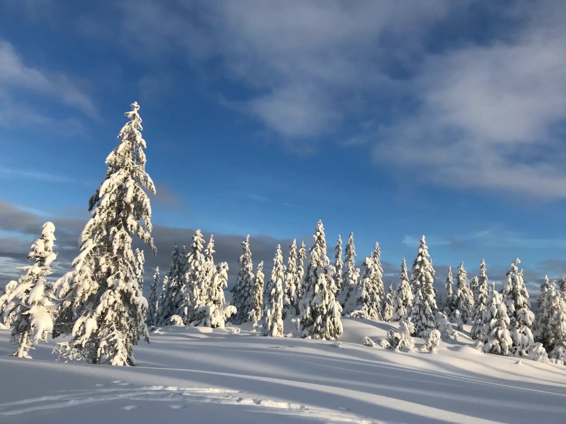 Giulia Barin Y Psc Nh 2020   Norvegia   Neve   Paesaggio   Pag Paese   Orizzontale (2)