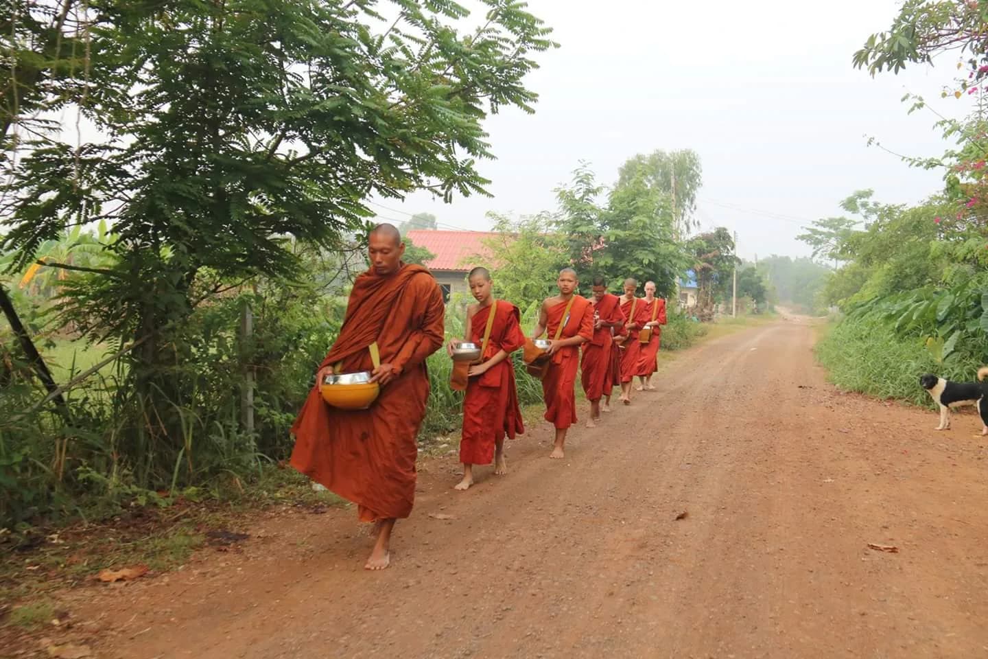 Raphael Cannatà YPscNH17_Thailandia_Storie (7)
