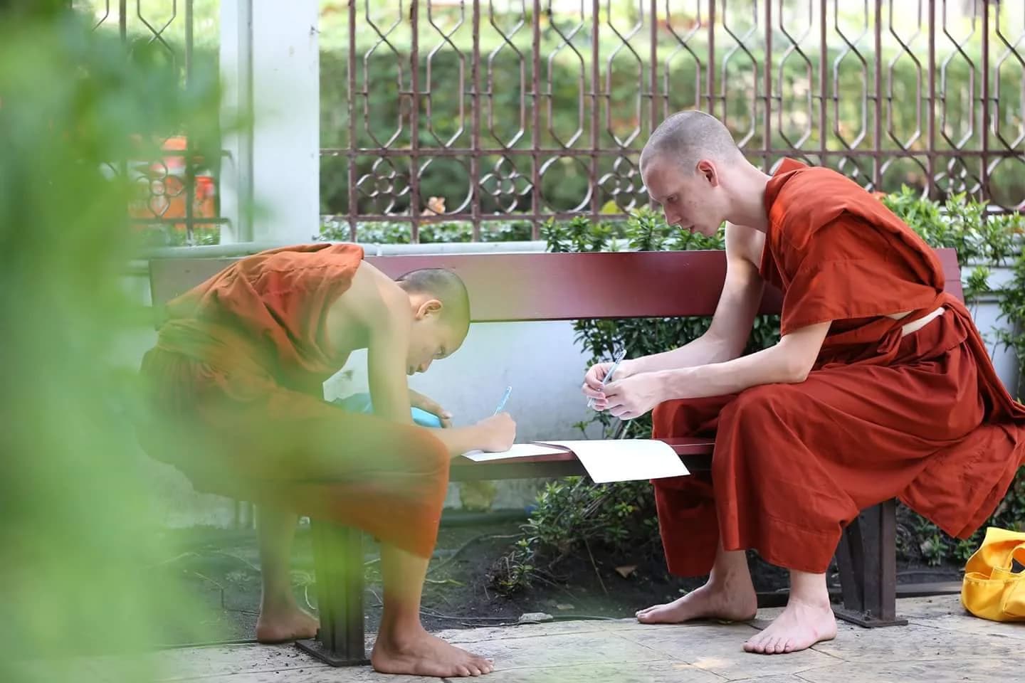 Raphael Cannatà YPscNH17_Thailandia_Storie (3)