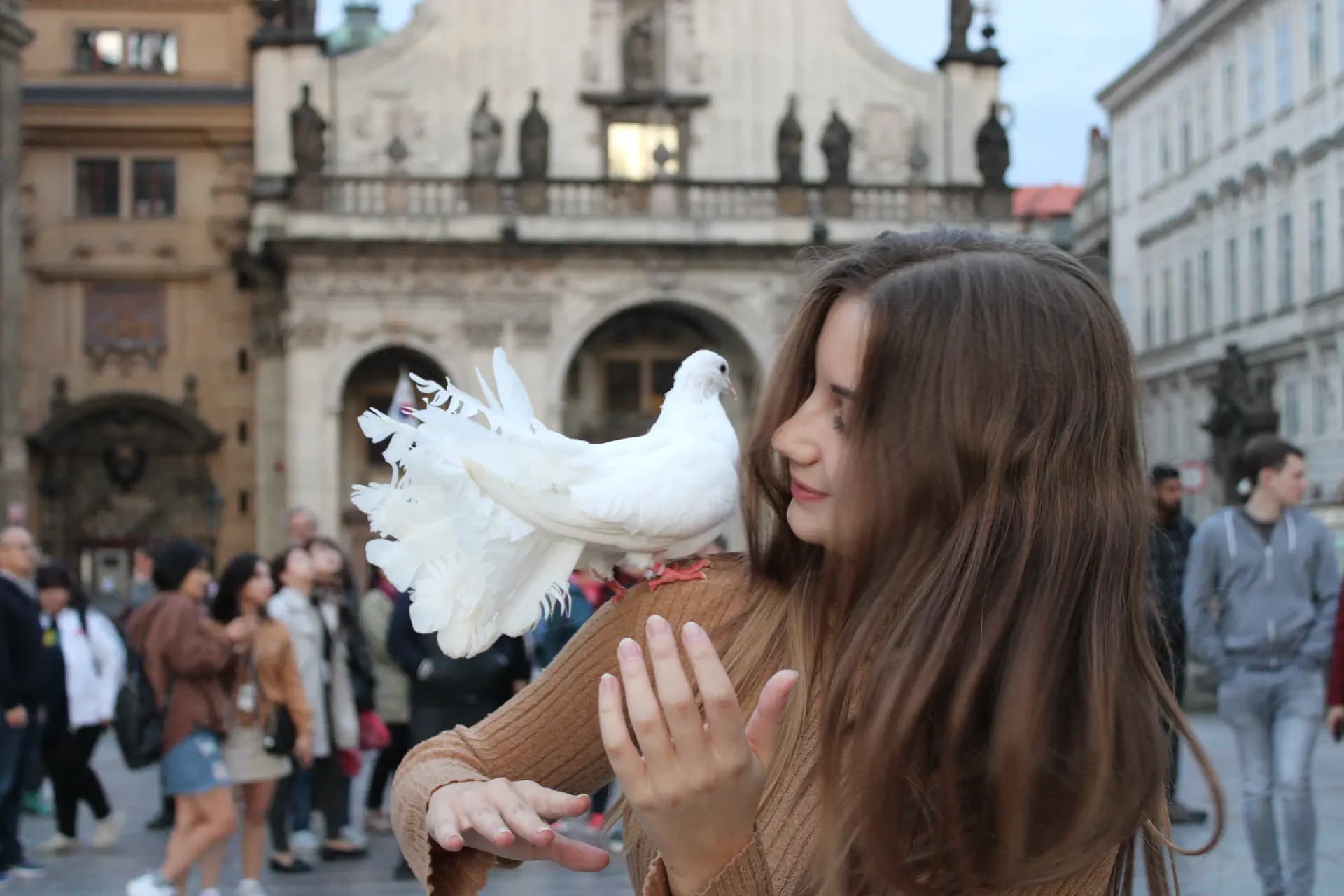 Aurora Bertulli Y Psc Nh 2019 Cze Rep Ceca Studentessa Città Animale Pag Programma Orizzontale (1)