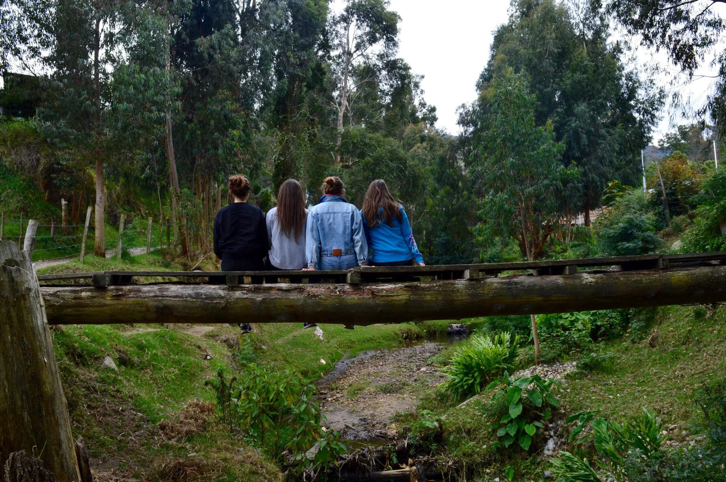Sofia Ceppari Y Psc N H16 Colombia Studentessa Fam Opistante Spalle Paesaggio Pag Programma Orizzontale (1)
