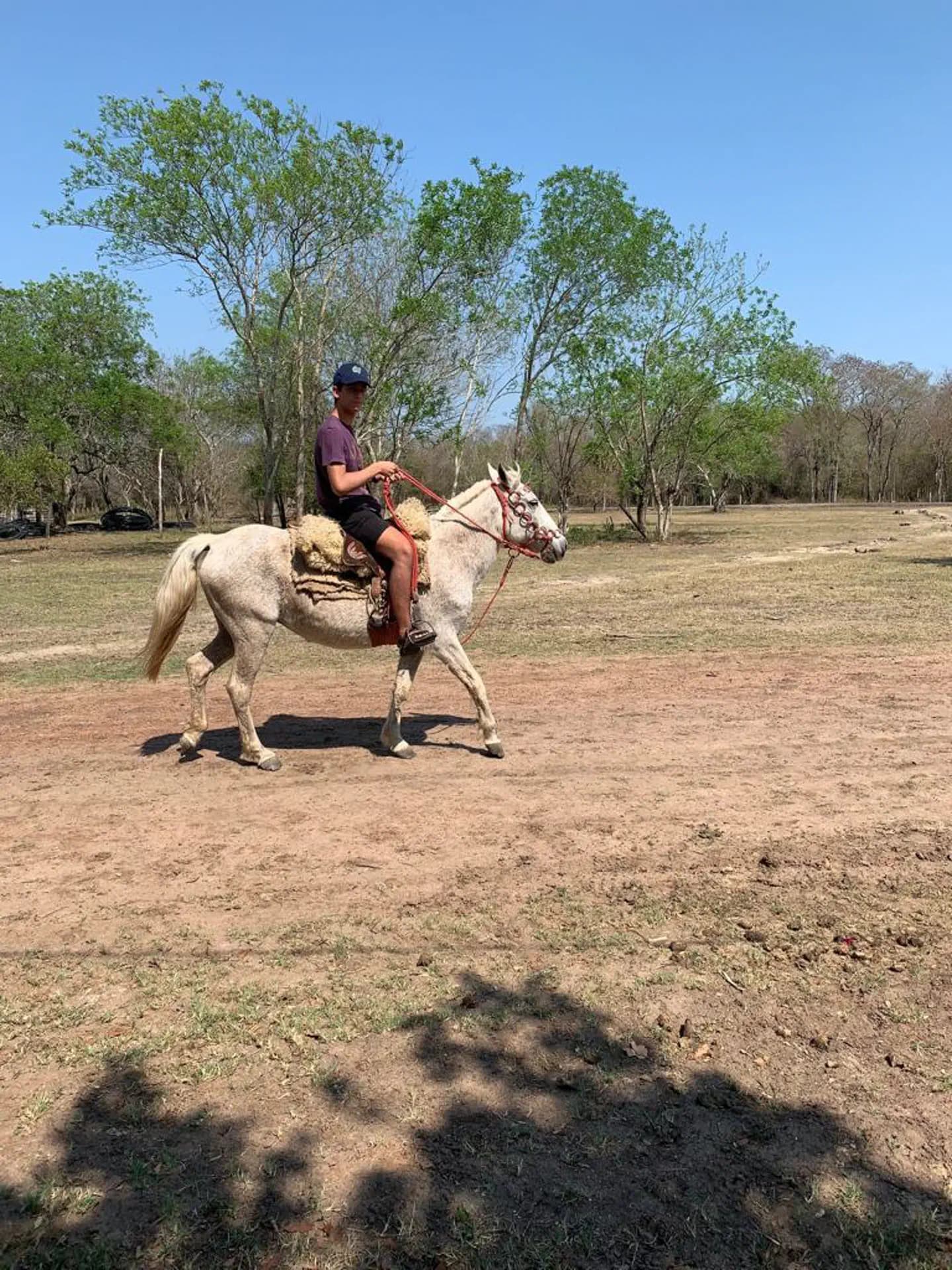 Giacomo Parodi Y Psc Nh 2019 Par Paraguay Animale Pag Programma Verticale (1)