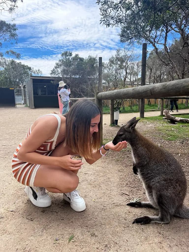 Mirella Morga Y Psw N H23 Get Cl Putignano Australia Studentessa Piano Americano Animale Pag Programma Verticale