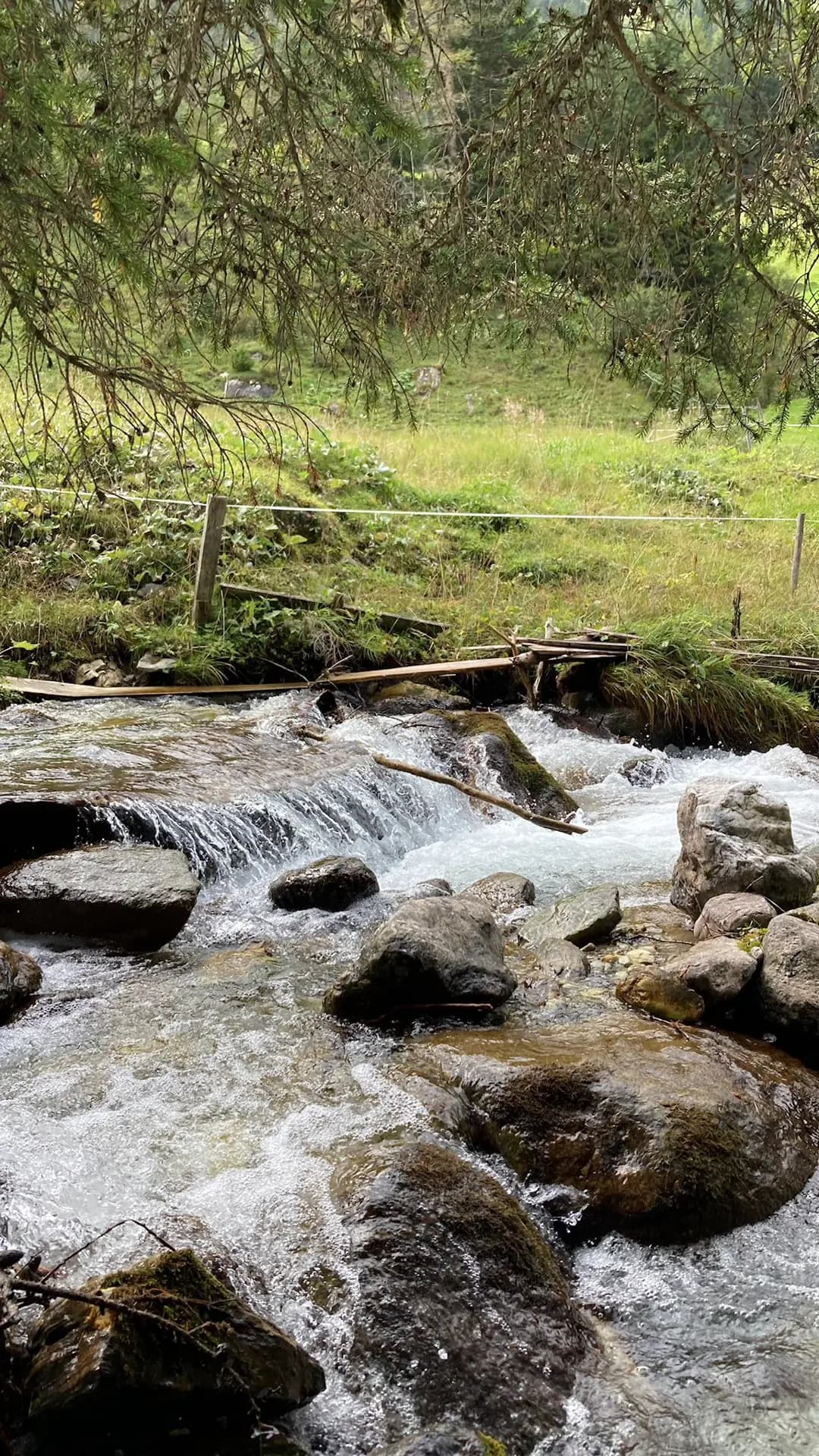 Alice Bini Y P21 Aut Austria Paesaggio Fiume Pag Paese Verticale