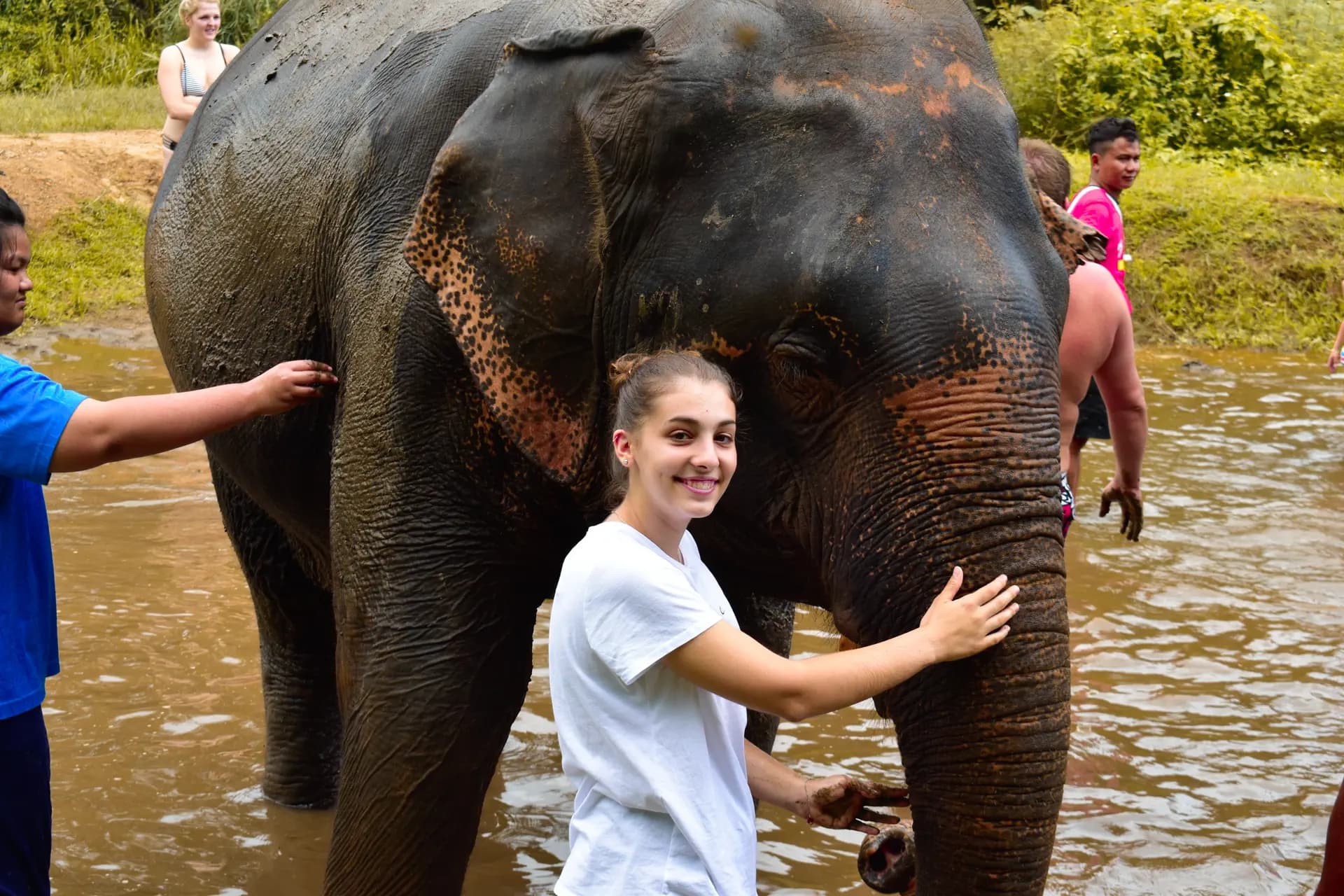 Anna Scuccimarra Y Psc N H19 Tha Thailandia Studentessa Animale Pag Programma Orizzontale (1)